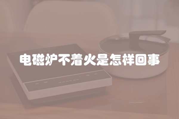 电磁炉不着火是怎样回事