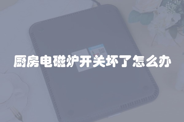 厨房电磁炉开关坏了怎么办