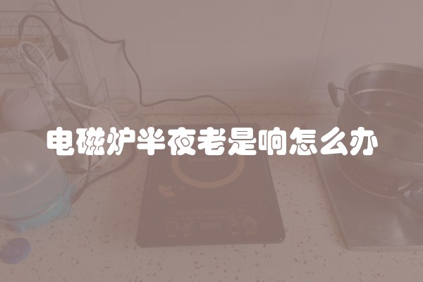 电磁炉半夜老是响怎么办