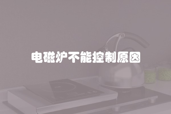 电磁炉不能控制原因