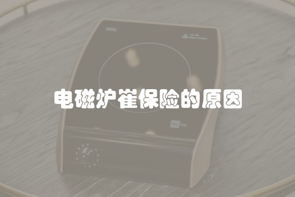 电磁炉崔保险的原因