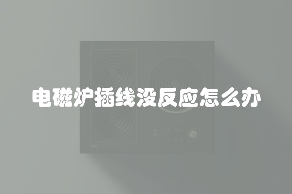 电磁炉插线没反应怎么办
