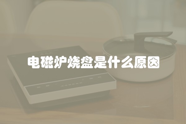 电磁炉烧盘是什么原因