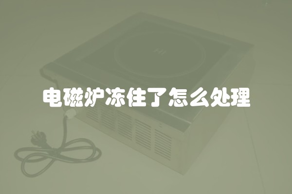 电磁炉冻住了怎么处理