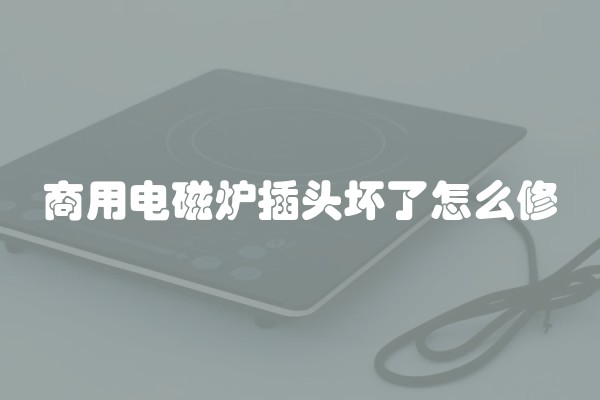 商用电磁炉插头坏了怎么修