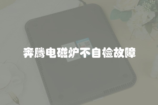 奔腾电磁炉不自检故障