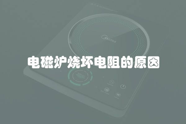 电磁炉烧坏电阻的原因
