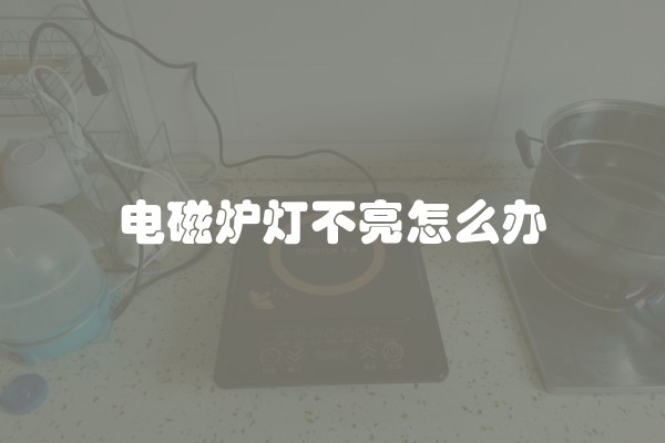 电磁炉灯不亮怎么办