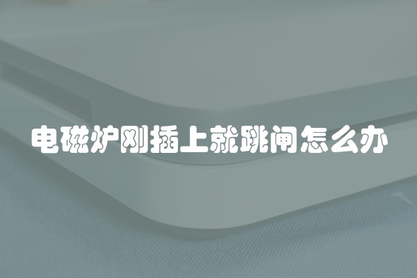 电磁炉刚插上就跳闸怎么办