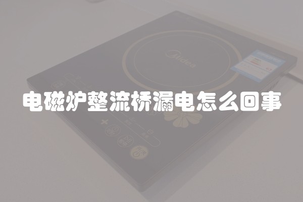 电磁炉整流桥漏电怎么回事