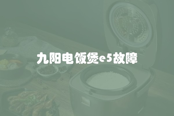 九阳电饭煲e5故障
