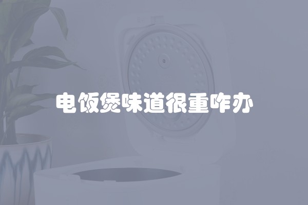 电饭煲味道很重咋办