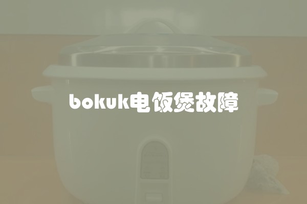 bokuk电饭煲故障