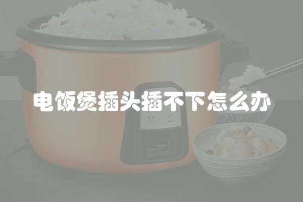 电饭煲插头插不下怎么办