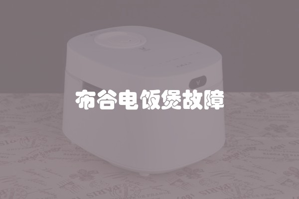 布谷电饭煲故障