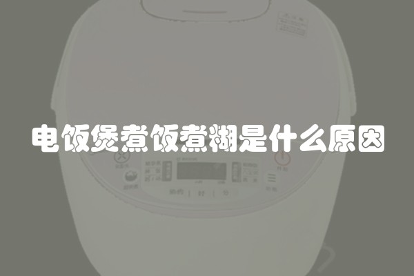 电饭煲煮饭煮糊是什么原因