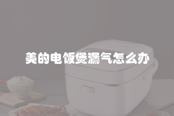 美的电饭煲漏气怎么办