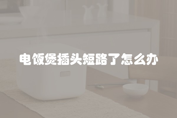 电饭煲插头短路了怎么办