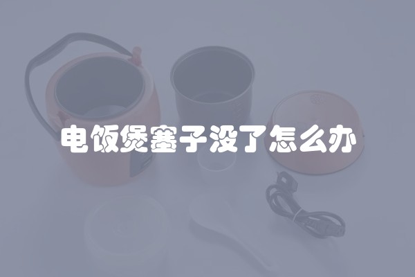 电饭煲塞子没了怎么办