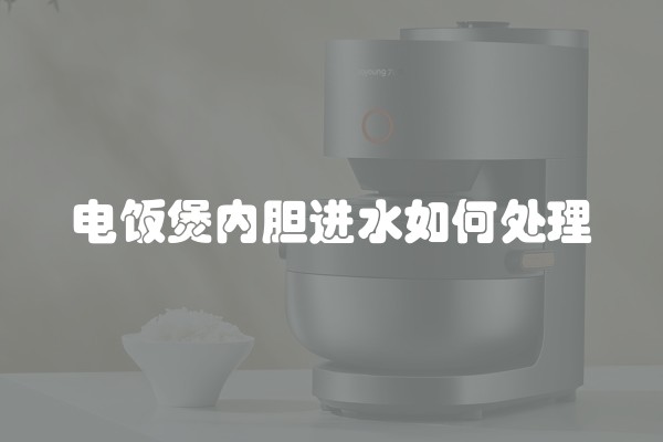 电饭煲内胆进水如何处理