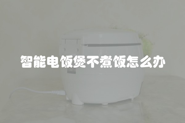 智能电饭煲不煮饭怎么办