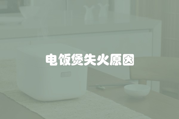 电饭煲失火原因