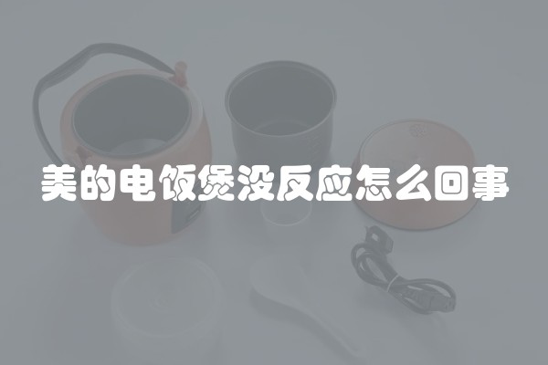 美的电饭煲没反应怎么回事