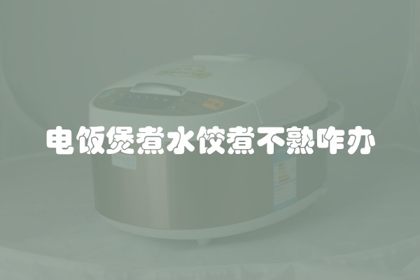 电饭煲煮水饺煮不熟咋办