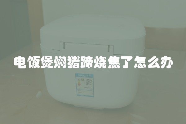 电饭煲焖猪蹄烧焦了怎么办