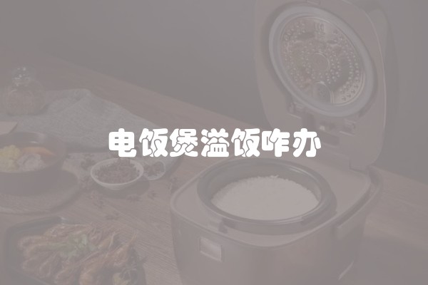 电饭煲溢饭咋办