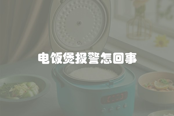电饭煲报警怎回事