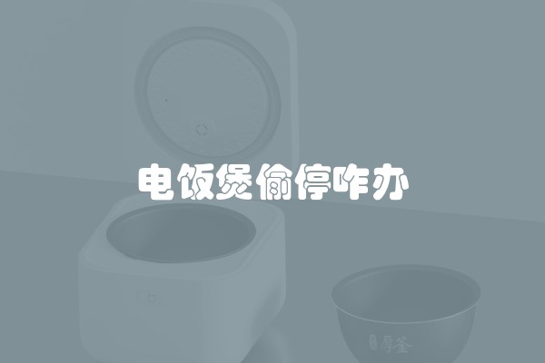 电饭煲偷停咋办