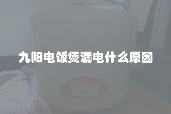 九阳电饭煲漏电什么原因