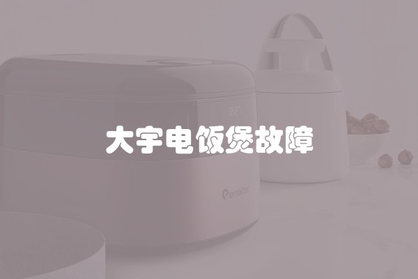 大宇电饭煲故障