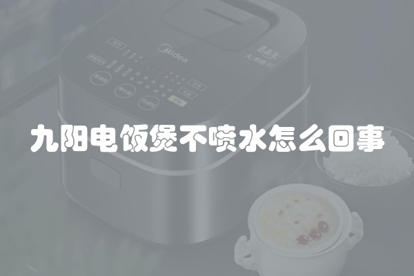 九阳电饭煲不喷水怎么回事