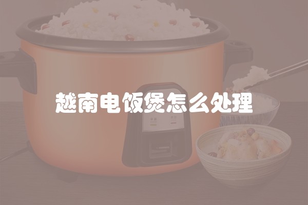越南电饭煲怎么处理