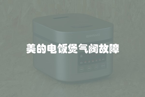 美的电饭煲气阀故障