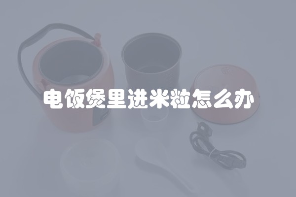 电饭煲里进米粒怎么办