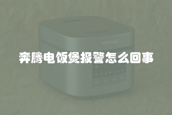 奔腾电饭煲报警怎么回事