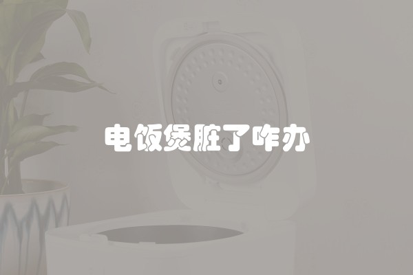 电饭煲脏了咋办