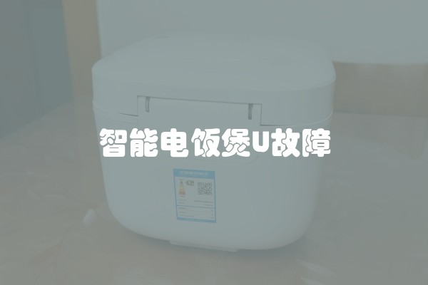 智能电饭煲LJ故障