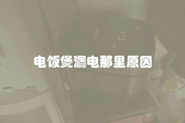 电饭煲漏电那里原因
