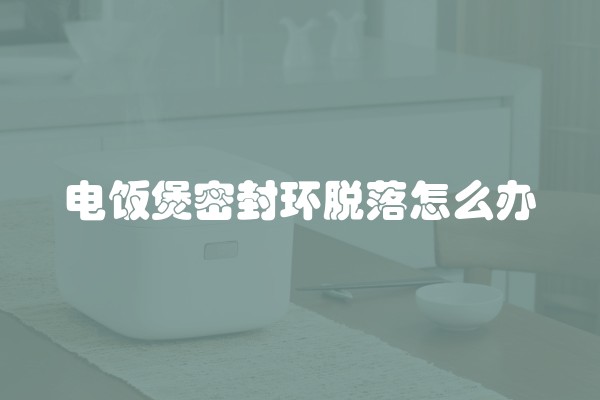电饭煲密封环脱落怎么办