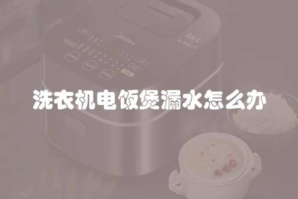 洗衣机电饭煲漏水怎么办