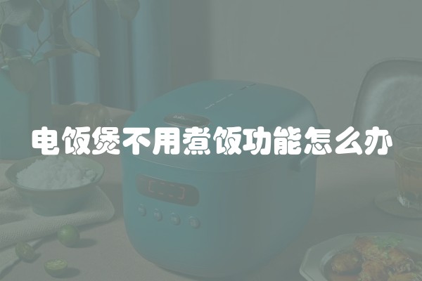 电饭煲不用煮饭功能怎么办