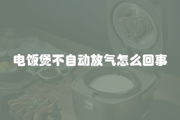电饭煲不自动放气怎么回事