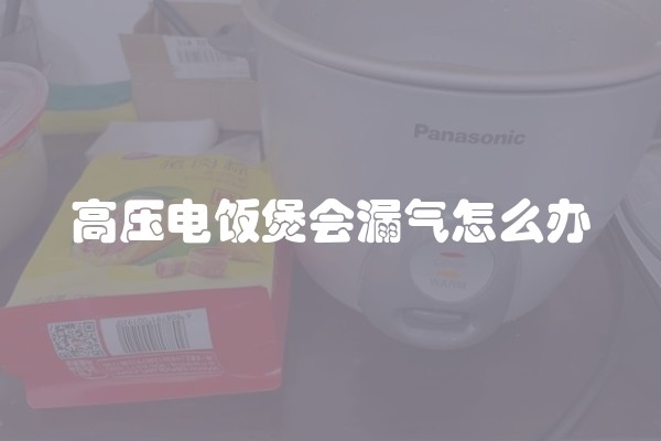 高压电饭煲会漏气怎么办