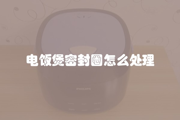 电饭煲密封圈怎么处理