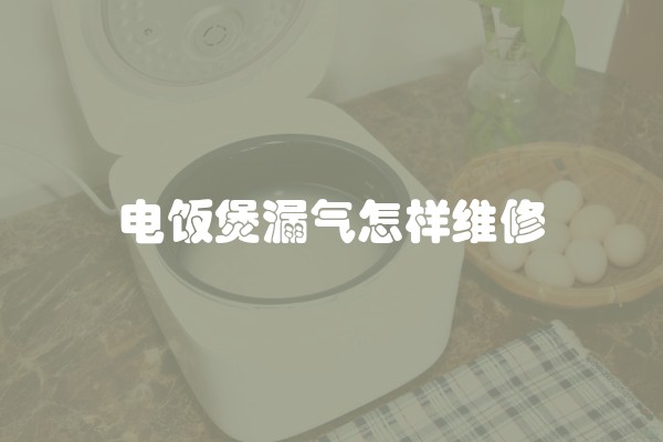 电饭煲漏气怎样维修