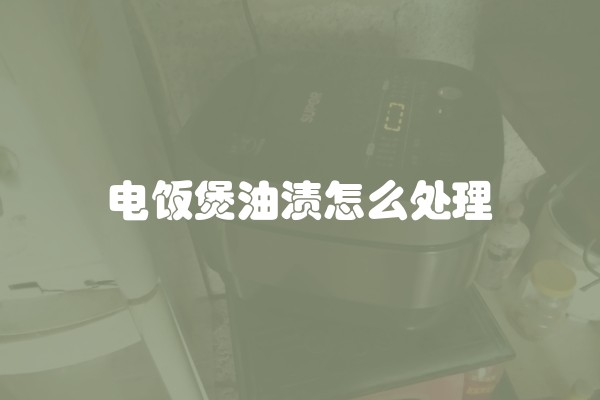 电饭煲油渍怎么处理